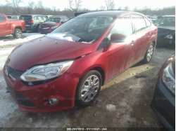 FORD FOCUS 1FAHP3F25CL249363