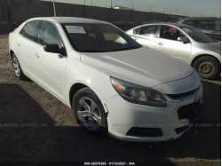 CHEVROLET MALIBU 1G11A5SL5FF104455