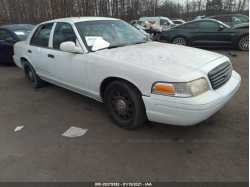 FORD POLICE INTERCEPTOR 2FABP7BV4BX146420
