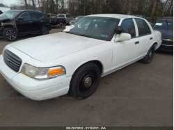 FORD POLICE INTERCEPTOR 2FABP7BV4BX146420
