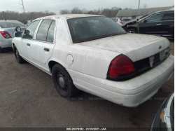 FORD POLICE INTERCEPTOR 2FABP7BV4BX146420