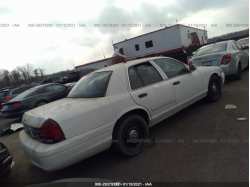 FORD POLICE INTERCEPTOR 2FABP7BV4BX146420