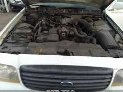 FORD POLICE INTERCEPTOR 2FABP7BV4BX146420