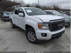 GMC CANYON 1GTG5CEN1K1134387