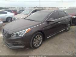 HYUNDAI SONATA 5NPE34AF0HH587516