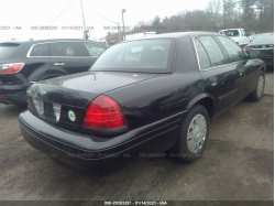 FORD POLICE INTERCEPTOR 2FABP7BV5BX176431