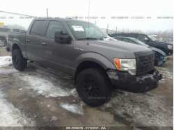 FORD F-150 1FTFW1EF1DFA82576