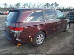 HONDA ODYSSEY 5FNRL5H30GB131001