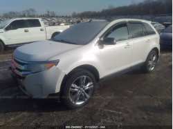 FORD EDGE 2FMDK4KC1BBB64347