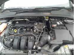 FORD FOCUS 1FADP3F26FL343819