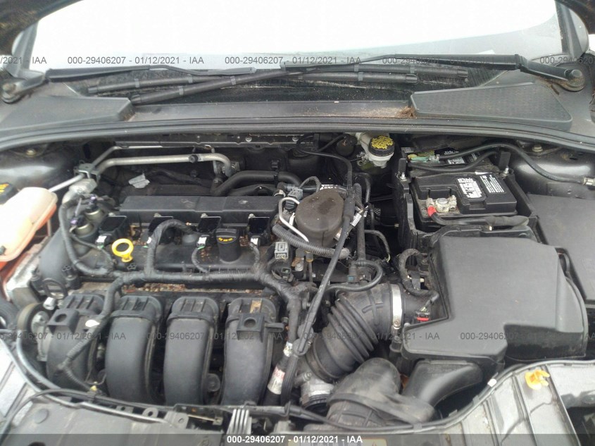 FORD FOCUS 1FADP3F26FL343819