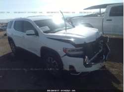 GMC ACADIA 1GKKNKLA9LZ150607