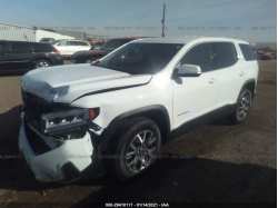 GMC ACADIA 1GKKNKLA9LZ150607