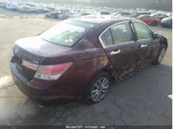 HONDA ACCORD SDN 1HGCP3F76BA002350