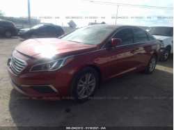HYUNDAI SONATA 5NPE24AF2GH369126