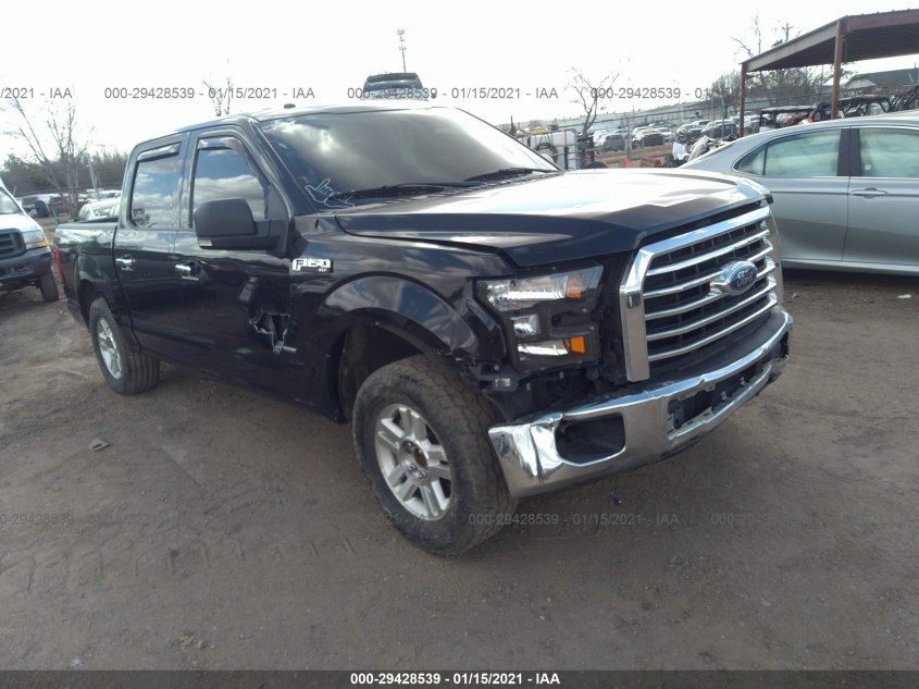 FORD F-150 1FTEW1CPXFFC31559