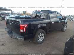 FORD F-150 1FTEW1CPXFFC31559