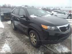 KIA SORENTO 5XYKTDA29BG123641