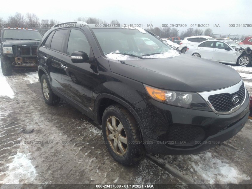 KIA SORENTO 5XYKTDA29BG123641
