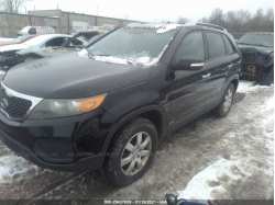 KIA SORENTO 5XYKTDA29BG123641