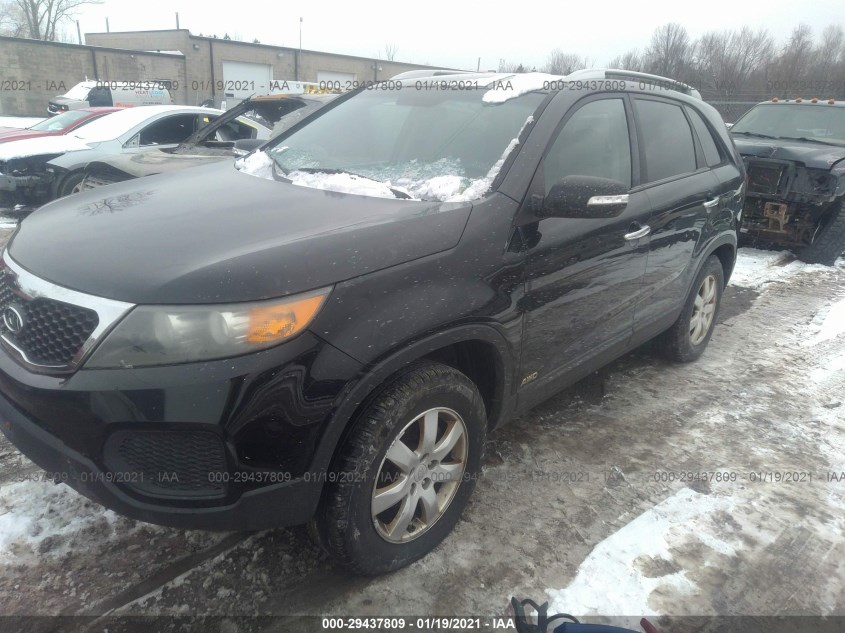 KIA SORENTO 5XYKTDA29BG123641