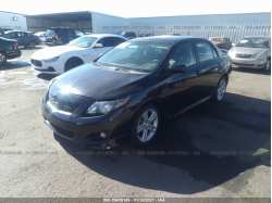TOYOTA COROLLA 2T1BE4EE6AC045957