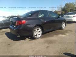 TOYOTA COROLLA 2T1BE4EE6AC045957