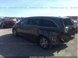 HONDA ODYSSEY 5FNRL5H64FB098920