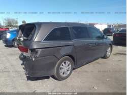 HONDA ODYSSEY 5FNRL5H64FB098920