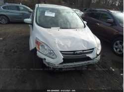 FORD C-MAX HYBRID 1FADP5BU2DL551356