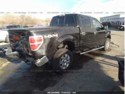 FORD F-150 1FTFW1EF2CKD23860