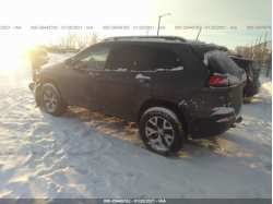 JEEP CHEROKEE 1C4PJMBS1HW524381