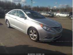 HYUNDAI SONATA 5NPEC4ACXDH631392
