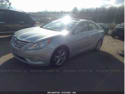 HYUNDAI SONATA 5NPEC4ACXDH631392