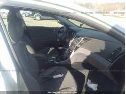HYUNDAI SONATA 5NPEC4ACXDH631392
