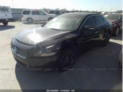 NISSAN MAXIMA 1N4AA5AP6EC466425