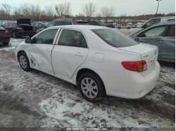 TOYOTA COROLLA 1NXBU4EE1AZ325125