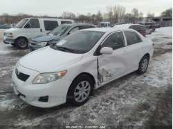 TOYOTA COROLLA 1NXBU4EE1AZ325125