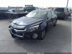 CHEVROLET MALIBU 1G11B5SL5EF141470