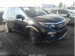 HONDA PILOT 5FNYF5H91HB042594