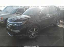 HONDA PILOT 5FNYF5H91HB042594
