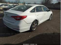 HYUNDAI SONATA 5NPE24AF4FH125797