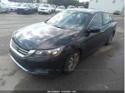 HONDA ACCORD SEDAN 1HGCR2F33FA052999
