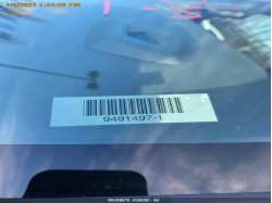 CHEVROLET EXPRESS PASSENGER 1GAZGPFG9L1211009