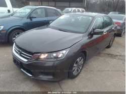 HONDA ACCORD SDN 1HGCR2F34DA269555