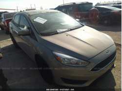 FORD FOCUS 1FADP3F20FL215043