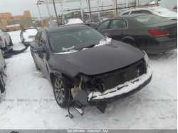 NISSAN MAXIMA 1N4AA5AP9AC838026
