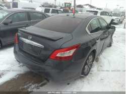 NISSAN MAXIMA 1N4AA5AP9AC838026