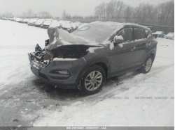 HYUNDAI TUCSON KM8J3CA46GU213483