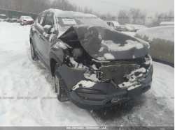 HYUNDAI TUCSON KM8J3CA46GU213483